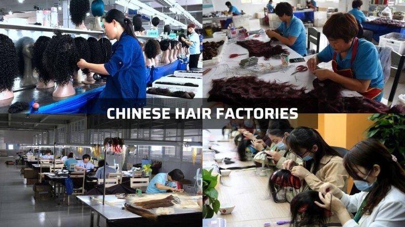 Overview of a Chinese plant that produces human hair