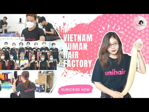 Unihair - Vietnam Human Hair Factory - Vietnam Raw Hair Wholesale | UNIHAIRVN