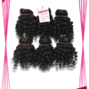 VietNamese Single Drawn Deep Curly Remy Weft Hair