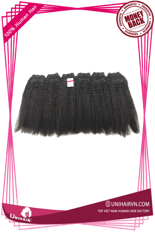 VietNamese Super Luxury Kinky Curly Remy Weft Hair