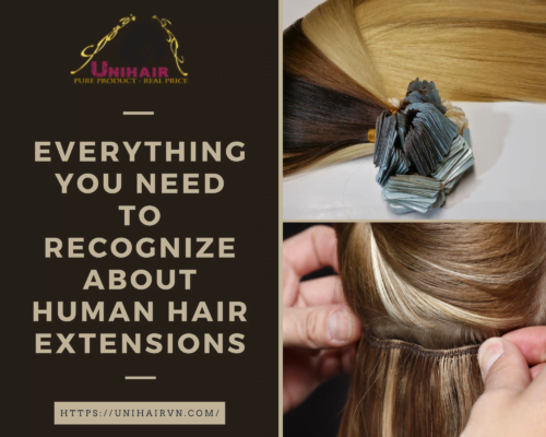 Everything You Need To Recognize About Human Hair Extensions