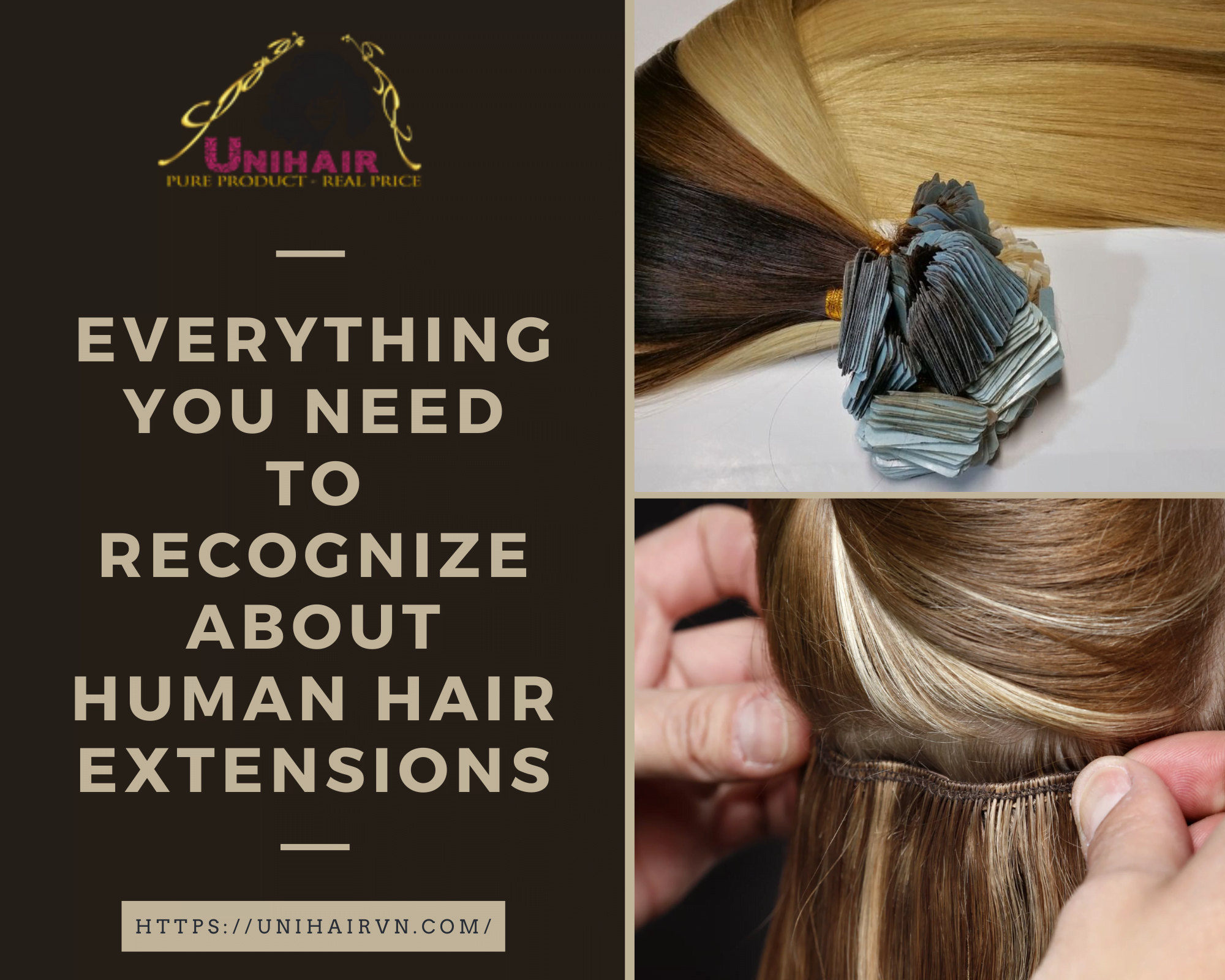 Everything You Need To Recognize About Human Hair Extensions