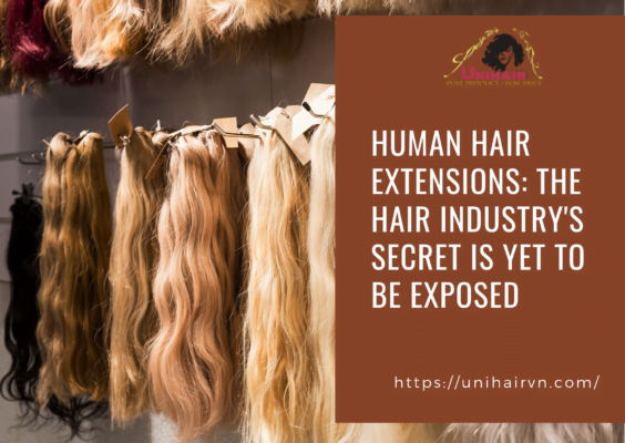 Human Hair Extensions The hair industry's secret is yet to be exposed