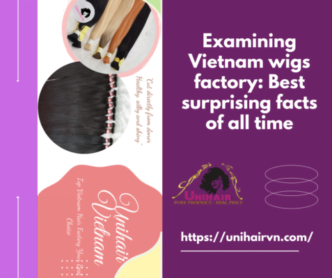 Examining Vietnam wigs factory Best surprising facts of all time