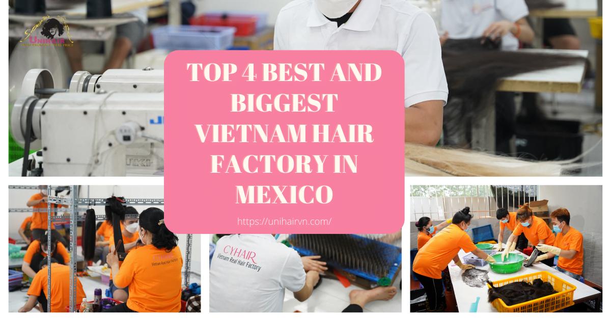 Top 4 best and biggest Vietnam hair factory in Mexico