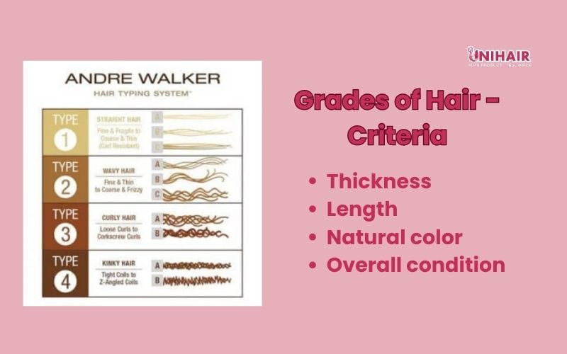 Grades of Hair - Criteria