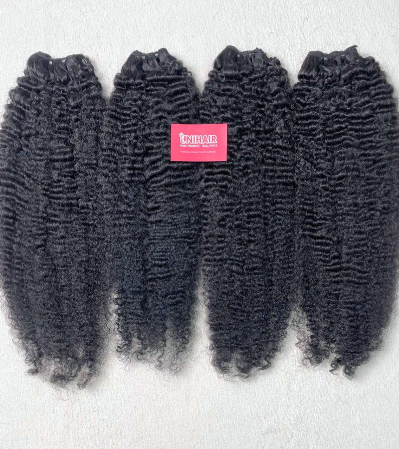 Kinky Curly Raw Hair | 100% Raw Vietnamese Human Hair Weft 3 Kinky Curly Raw Hair