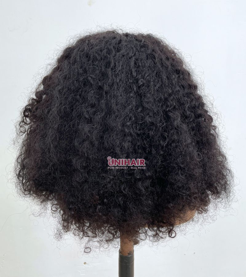 Burmese Curly Hair Wig – 13x4 HD Lace Front, 20 Inch Raw Vietnamese Hair